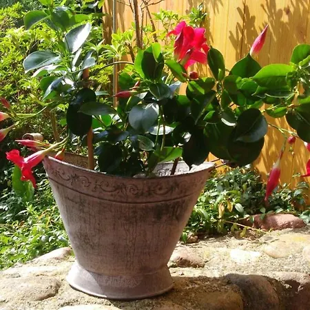 Ostseetraum Vendégház 3*