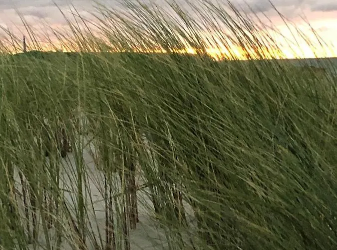 Affittacamere Ostseetraum